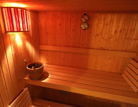 sauna seeapart pöder in ladis
